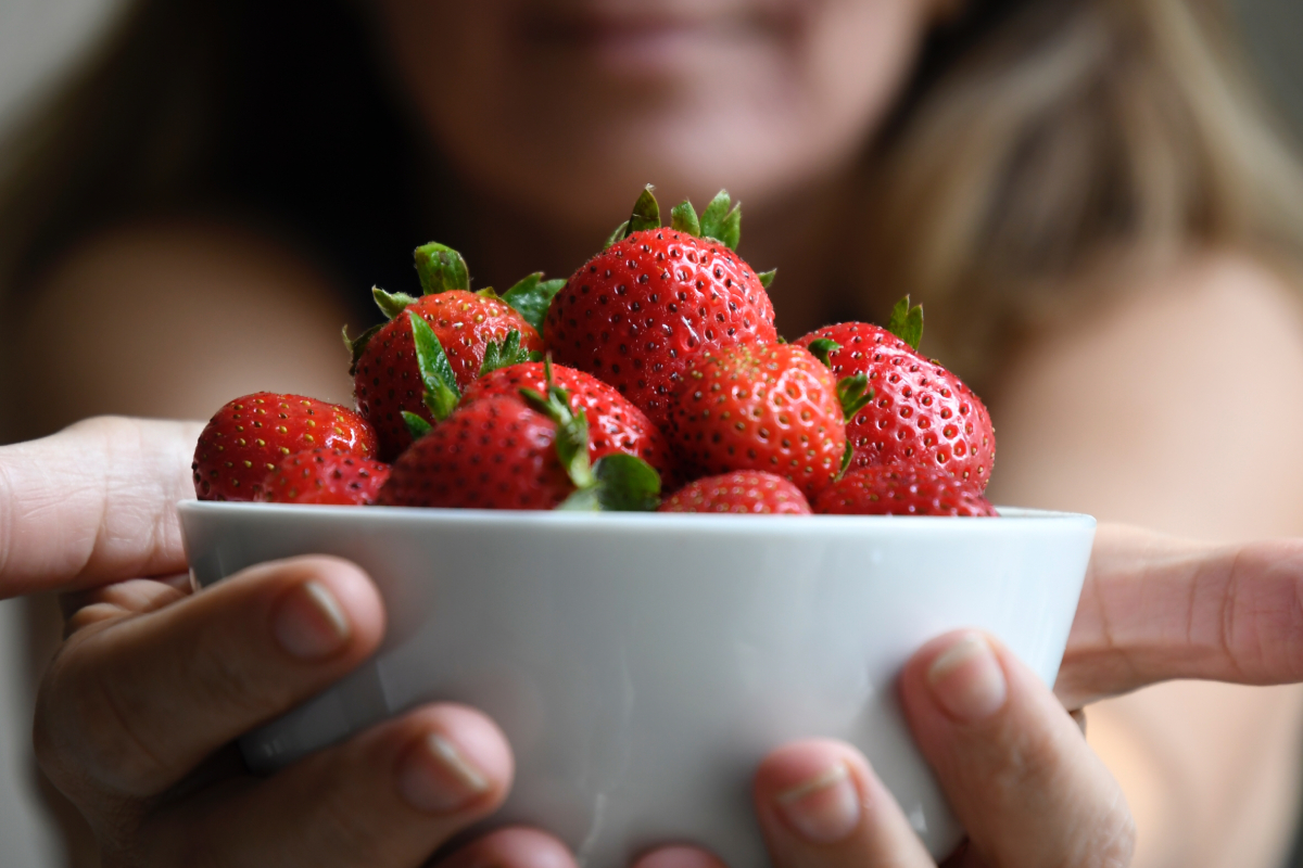 berries en verano