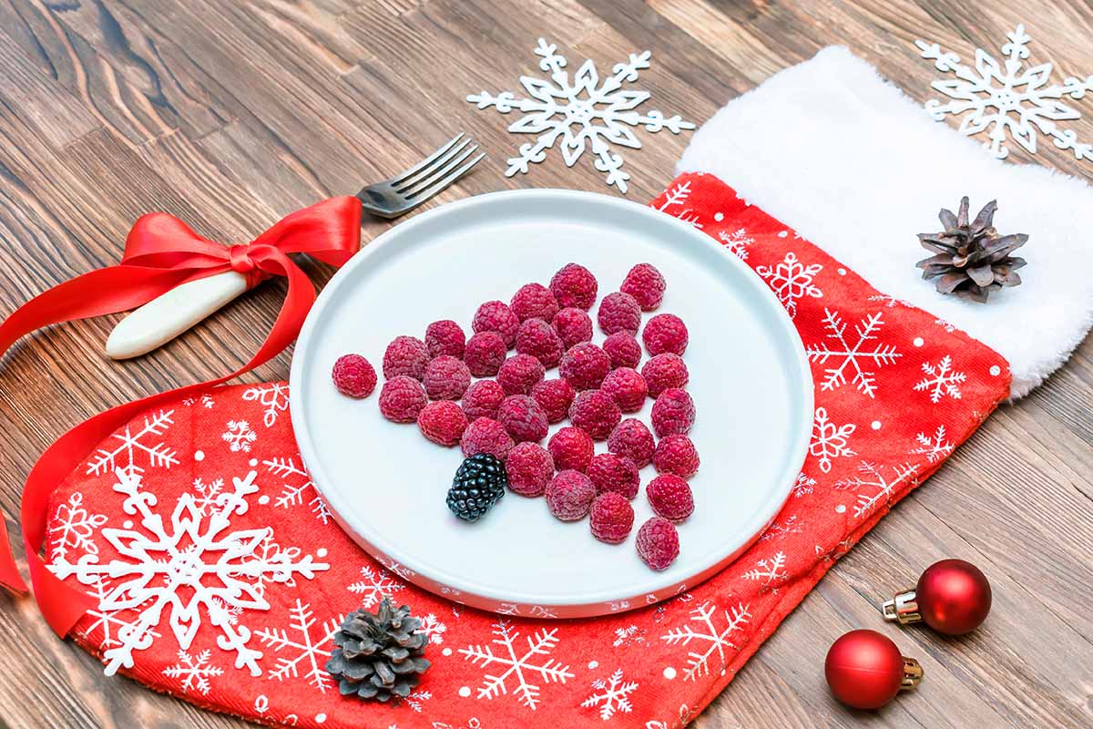 berries en Navidad