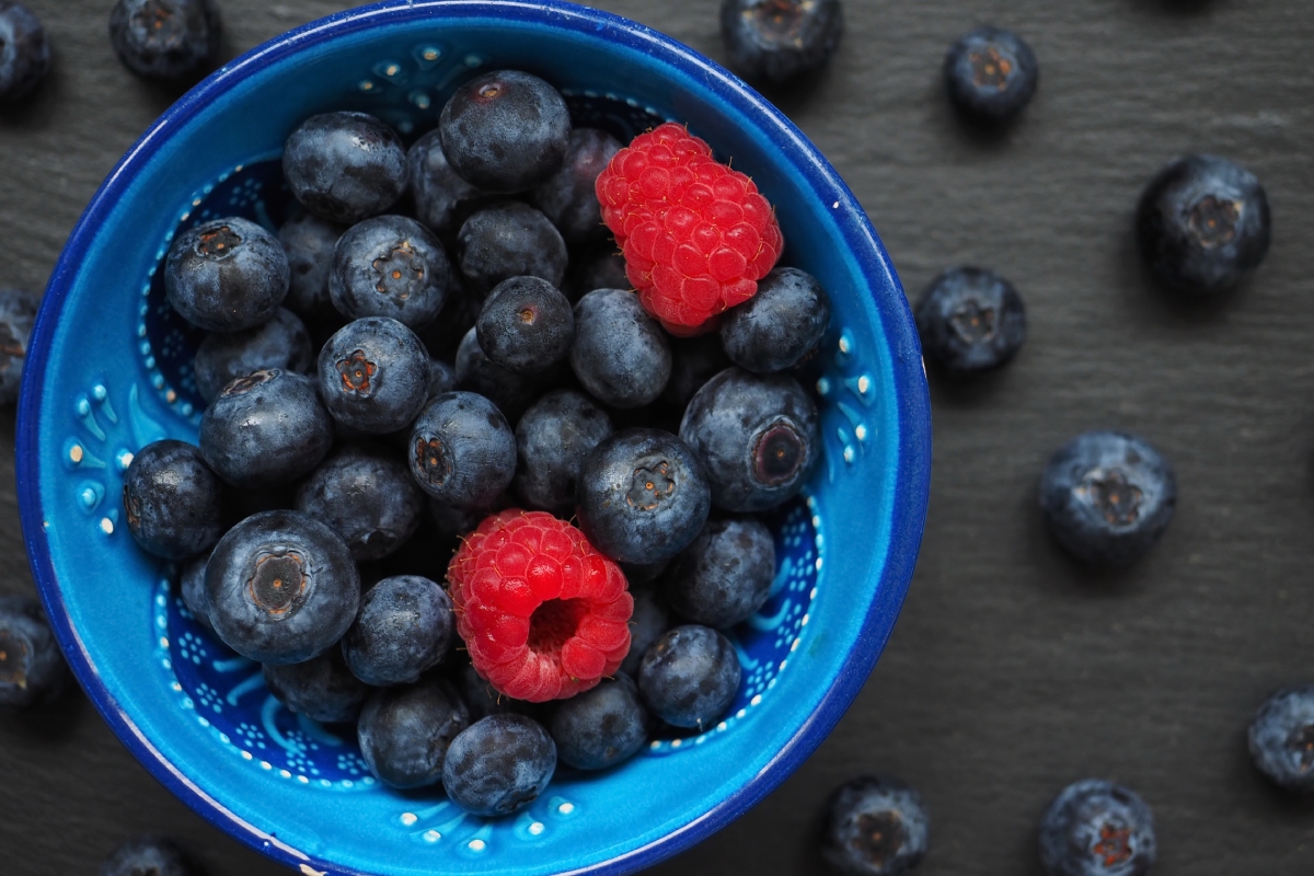 conservar berries en verano