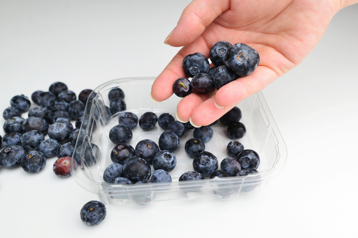 conservar berries en verano