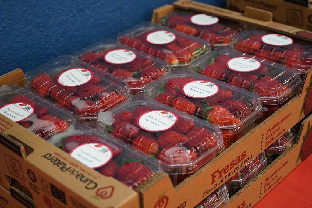 torneo de baloncesto inclusivo Cuna de Platero