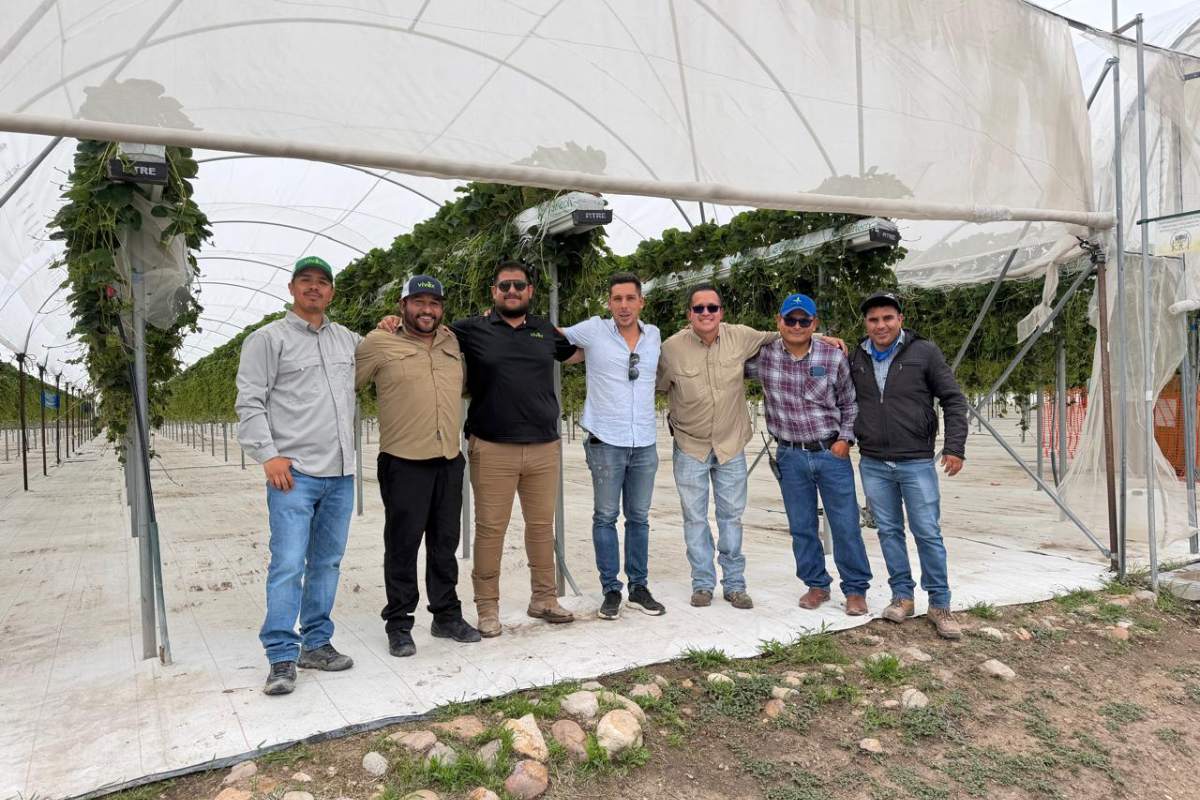 Equipo de Cuna de Platero durante la visita técnica a México para conocer la evolución de la variedad Cupla de arándano