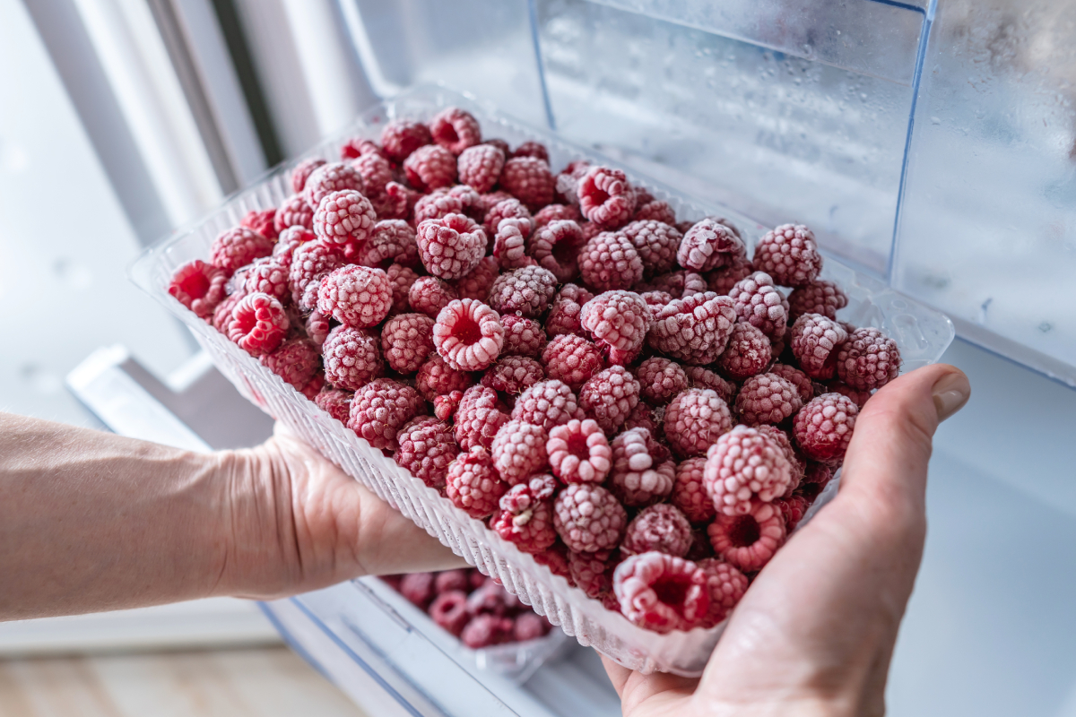 congelar berries