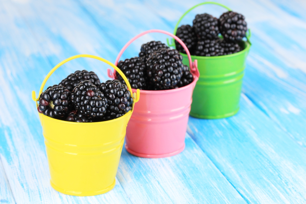 moras en verano