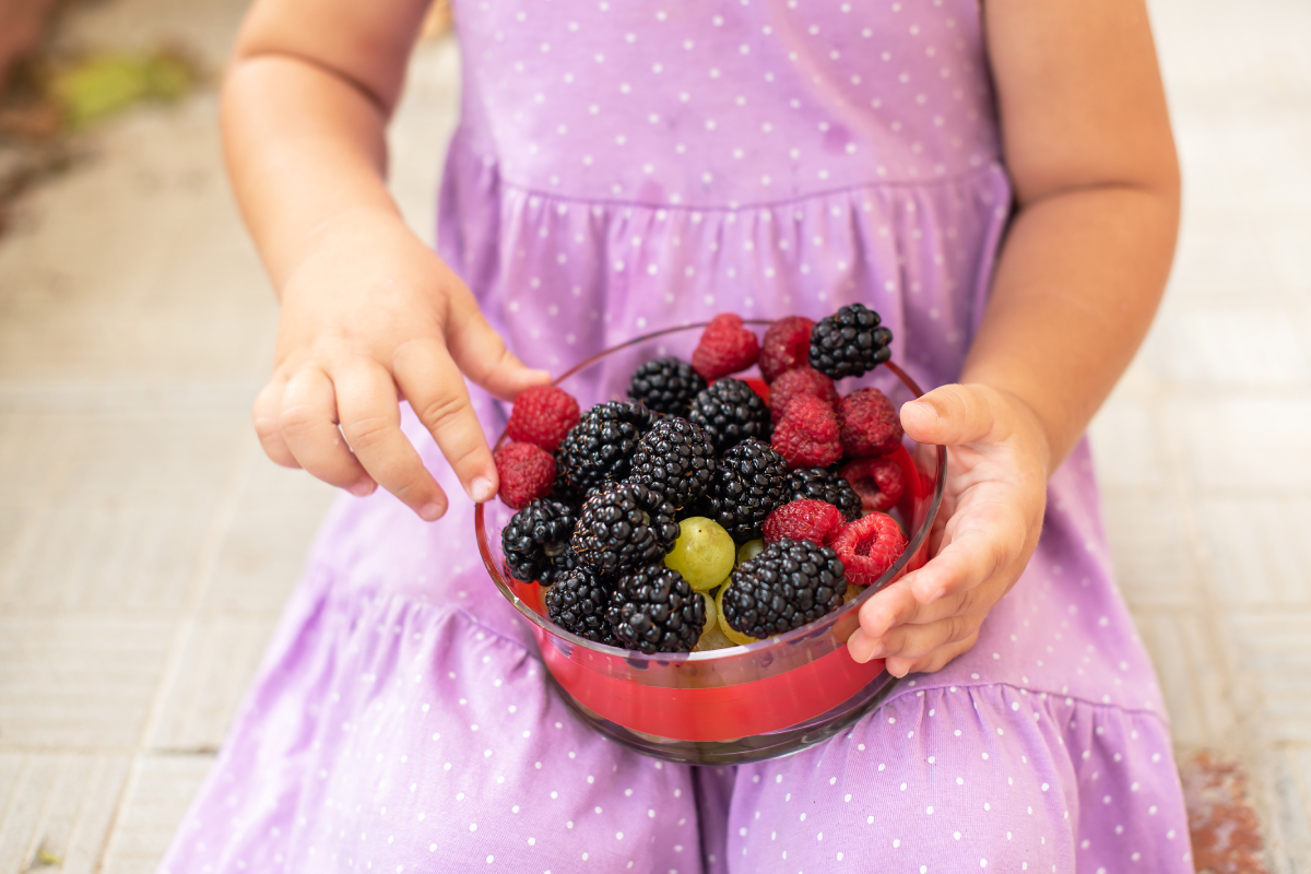 berries para niños