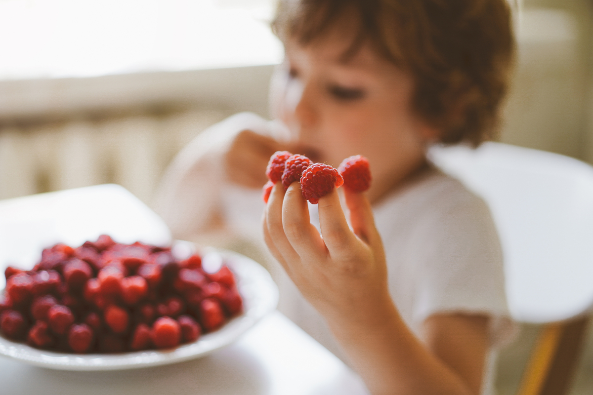 berries para niños